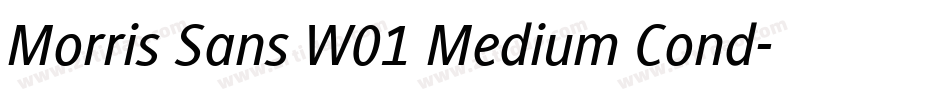 Morris Sans W01 Medium Cond字体转换